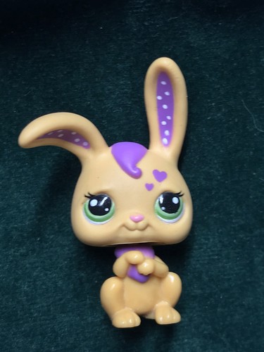 Petshop lapin garenne - 💖🌺,