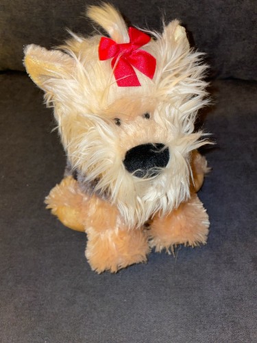 Adorable chien yorkshire - adorable,
