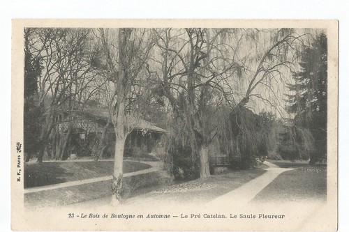 Paris bois de - le,