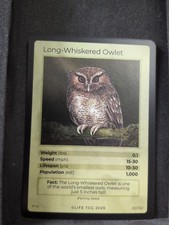 Life Tcg Birds : Long-Whiskered Owlet Holo 20/130