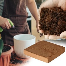 Fibre de noix , lit de terre