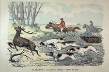 UNE CHASSE à COURRE: MEUTE poursuivant un CERF - Planche couleur du 19e siècle