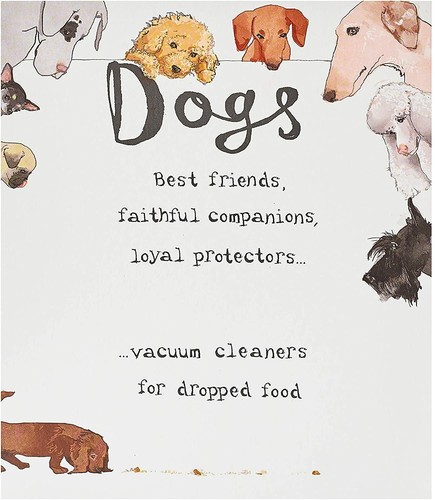 Carte anniversaire humour - carte,