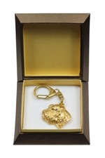 Petit Basset Griffon Vendéen