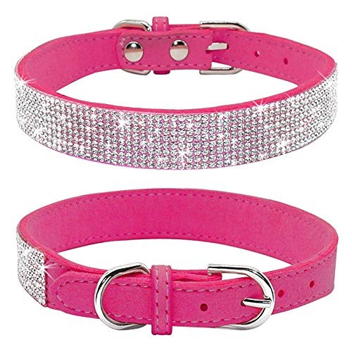 Collier pour chien avec - pour,