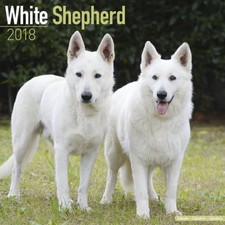 Calendrier 2018 - BERGER BLANC