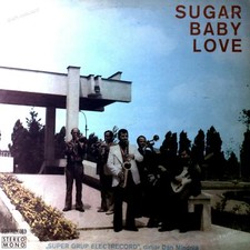 „Super Grup Electrecord“ 