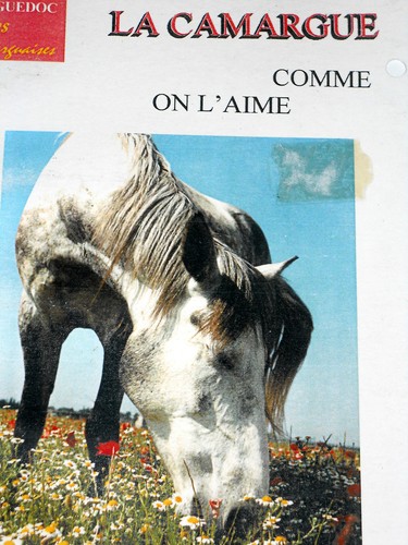 Camargue comme l aime - la, on