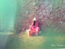 Carte Postale   CHRIS NIKOLSON