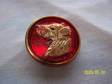 Beau bouton en verre rouge représentant un chien. Fox Terrier. N°736