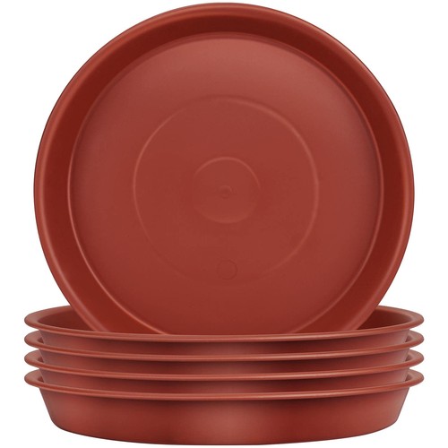 Lot soucoupes pour - lot, de