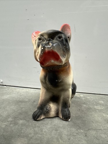 Rare french bulldog - rare,