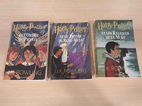 Harry potter grand - harry,