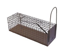 Nasse à rat socle bois CAUSSADE