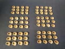 Lot de 72 godets coquilles
