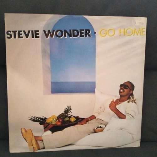 Neuf maxi vinyle stevie - neuf,