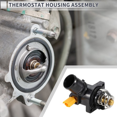 Engine coolant thermostat - engine,