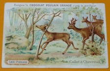 CHROMO 1920-1939 CHOCOLAT