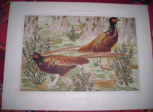 Art nouveau verneuil animal - nouveau,