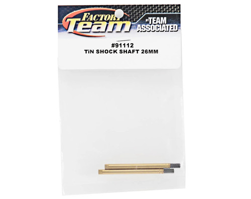 Team associated scale tin - 1/10,