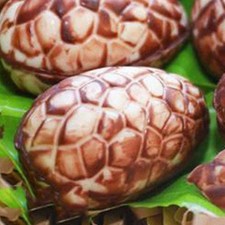 2pcs Moule d'oeuf de Pâques DIY Moule en plastique Dinosaure Egg Maker Chocolate