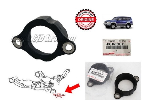 Protections rotules - protections,