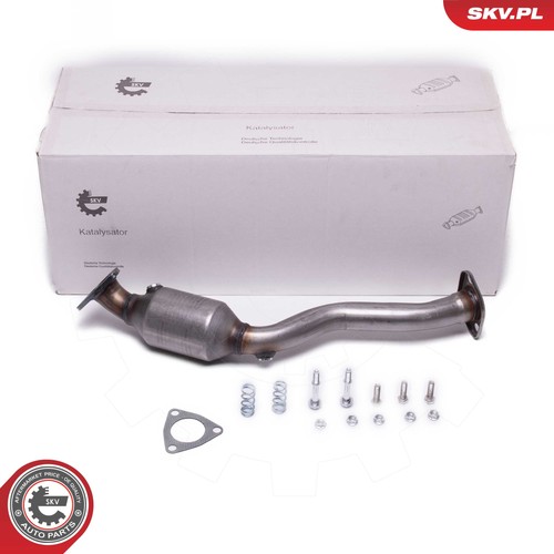 Esen skv catalyseur - skv,