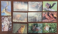 11 grandes images  collection animaux 9 x 14 cm Images éditions éducatives Paris