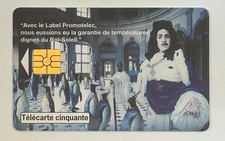 Télécarte privée publique EN1701 Promotelec