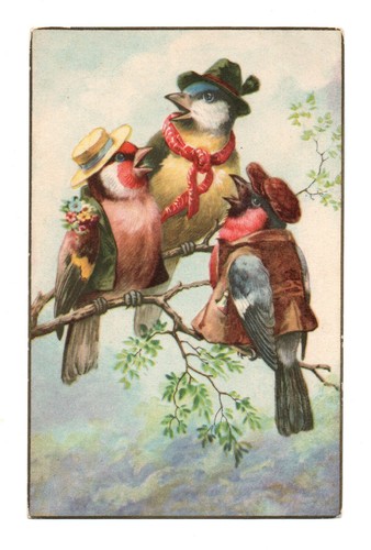 Magnifiques oiseaux humanisés