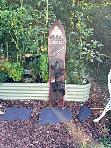 Burton performer elite - elite, 150