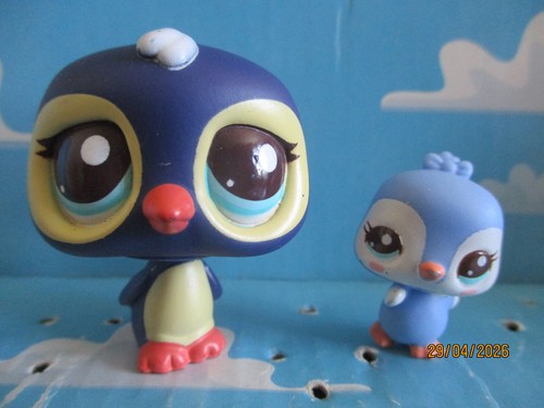 Petshop duo maman pingouin - :,