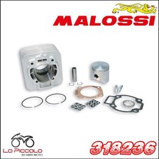 318236 CILINDRE MALOSSI 172CC