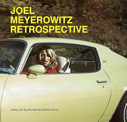 Joel meyerowitz retrospektive - joel,