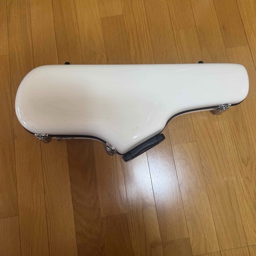 Alto saxophone shiny case