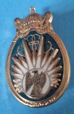 RARE INSIGNE 13e RÉGIMENT