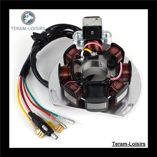 Stator allumage pour - stator, gas