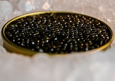 Caviar royal baeri - caviar,