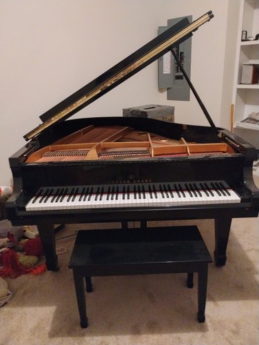 Young chang concert baby grand - concert,