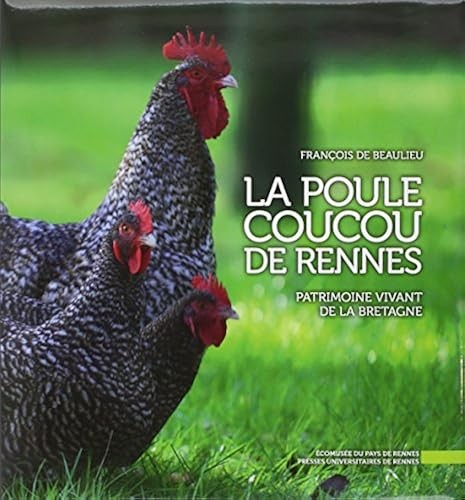 Poule coucou rennes - coucou, de