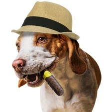 Jouet Chien Indestructible