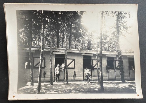 Photographie manege saint - photographie, -manege