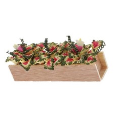 Caladium miniature en argile