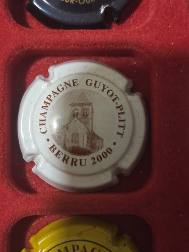 Capsule champagne guyot - de,