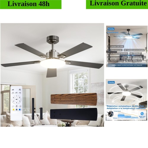 Passky ventilateur plafond - passky,