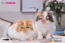 Carte JAPON - ANIMAL - CHAT - CAT JAPAN Kansai Nankai card - KATZE prepaid Karte