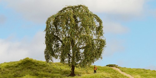 Noch 20115 saule - noch,