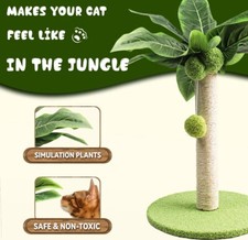 Arbre À Chat Palmier Tendance