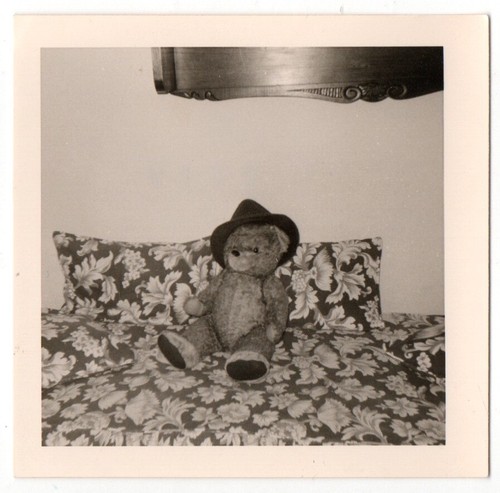 Photo anonyme 1950 ours - photo,