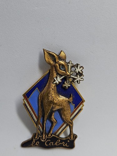 Insigne broche médaille - broche, ski